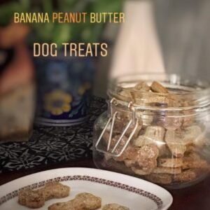 Banana peanut butter bites